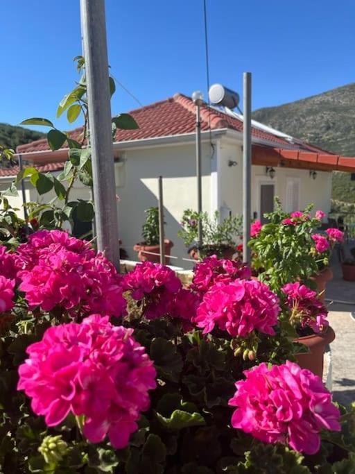 Apartamento Alex House Parga Exterior foto